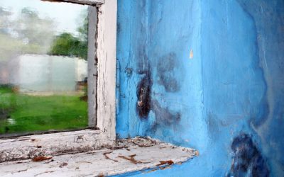 Key Benefits Offered By Restoration Companies In Carmel, IN, For Emergency Property Recovery