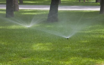 Avoid Water Waste with Efficient Irrigation System Repair In Colorado Springs Solutions
