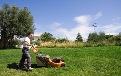 Transform Your Outdoor Space With Landscaping Services York County, SC Homeowners Trust