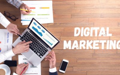 Small Business Success Stories With a Digital Marketing Agency in Florida