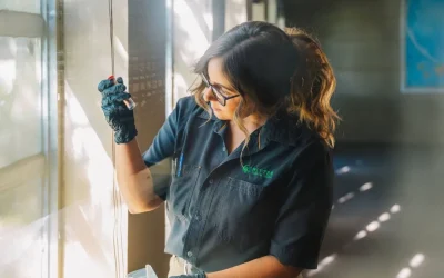 Effective ways to prevent mold in commercial buildings, Louisiana property managers trust