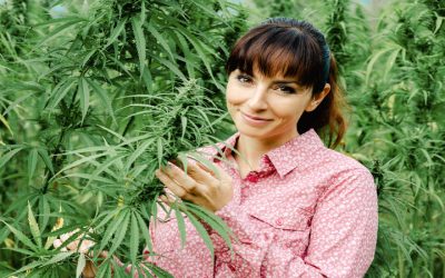 Staying Informed About Medical Cannabis Delivery in Ludlow, MA, for Reliable Access