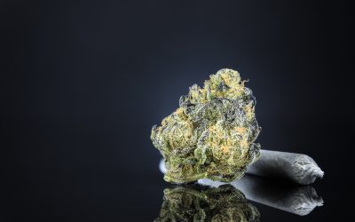 Save Money Without Sacrificing Quality by Choosing THCA Flower Mids for Daily Use