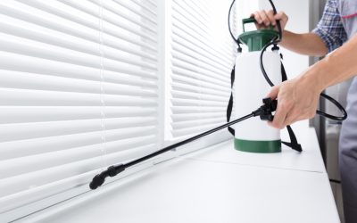 Protect Your Business with Effective Commercial Pest Control Camp Hill, PA Solutions