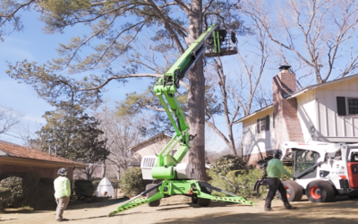 Stump Grinding in Milner, GA: Services That Protect Your Property from Hidden Dangers