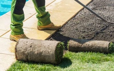 What Peoria Homeowners Should Know Before Starting a Full Landscape Installation Project