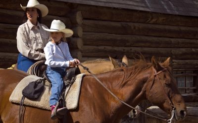 Why Parents Trust Hippotherapy in Wisconsin for Pediatric Therapy and Emotional Growth
