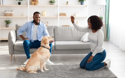 Experience Pet Friendly Luxury in Rental Apartments Yulee FL With Resort Style Perks
