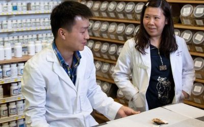 Unlock real-world healing skills with acupuncture classes designed for aspiring USA practitioners
